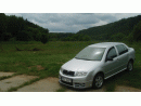 koda Fabia, foto 100
