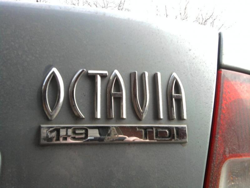 koda Octavia