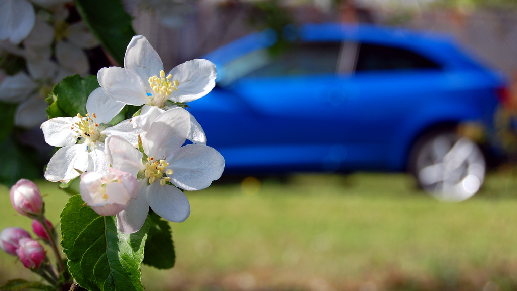 Seat Ibiza SC