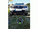 Dacia Duster, foto 64